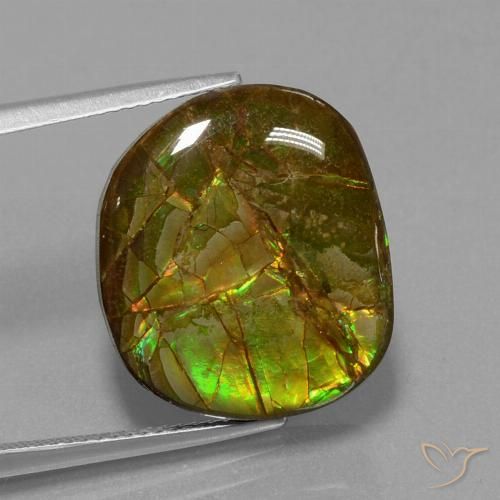 13.05ct Naturale Multicolore Ammolite, Taglio a fantasia, Opaco