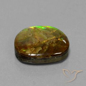 Ammolite Multicolore naturale da 13.05 ct, Taglio a fantasia, Opaco