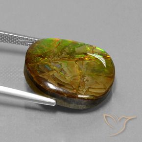 Ammolite Multicolore naturale da 13.05 ct, Taglio a fantasia, Opaco