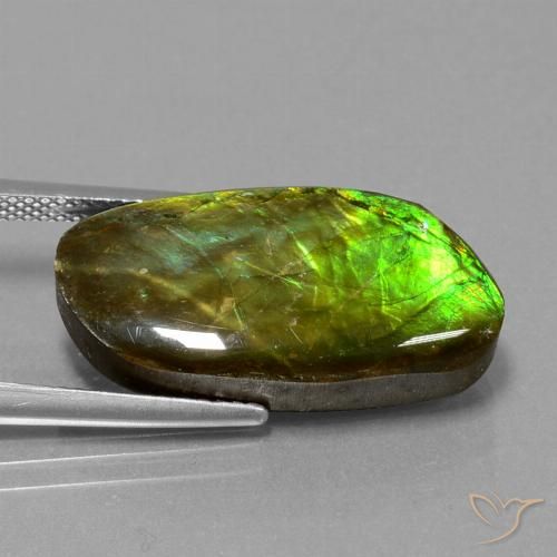 11.74ct Naturale Multicolore Ammolite, Taglio a fantasia, Opaco