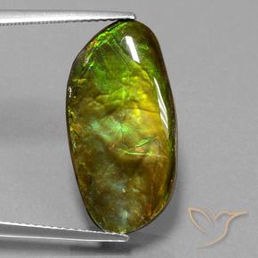 Ammolite Multicolore naturale da 11.74 ct, Taglio a fantasia, Opaco