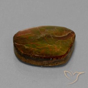 Ammolite Multicolore naturale da 16.13 ct, Taglio a fantasia, Opaco