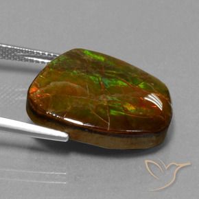 Ammolite Multicolore naturale da 16.13 ct, Taglio a fantasia, Opaco
