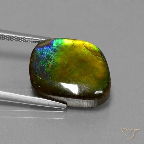 Ammolite Multicolore naturale da 11.27 ct, Forma fantasia, Opaco