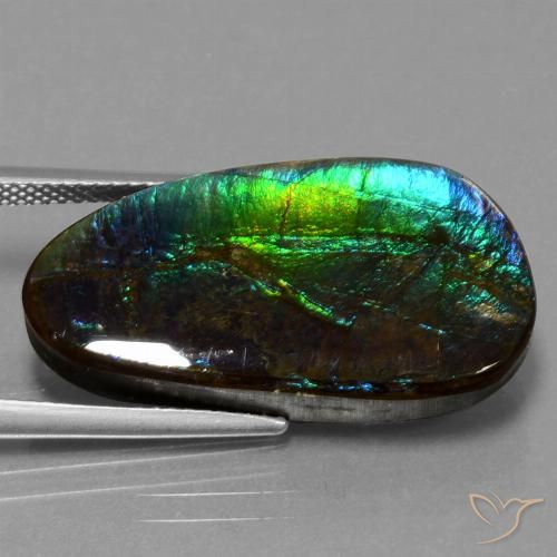 16.95ct Naturale Multicolore Ammolite, Taglio a fantasia, Opaco
