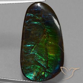 Ammolite Multicolore naturale da 16.95 ct, Taglio a fantasia, Opaco