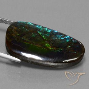 Ammolite Multicolore naturale da 16.95 ct, Taglio a fantasia, Opaco