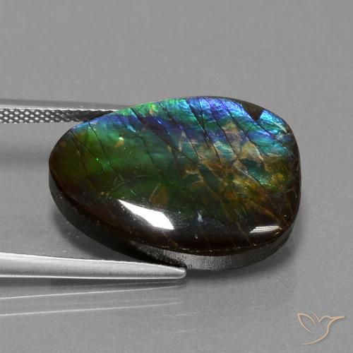 14.77ct Naturale Multicolore Ammolite, Taglio a fantasia, Opaco