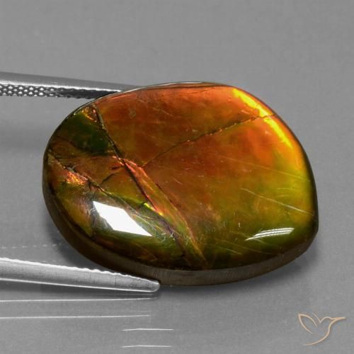 15.55ct Naturale Multicolore Ammolite, Taglio a fantasia, Opaco
