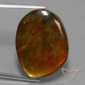 Ammolite Multicolore naturale da 15.55 ct, Taglio a fantasia, Opaco