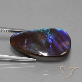 Ammolite Multicolore naturale da 14.98 ct, Taglio a fantasia, Opaco