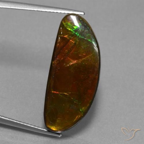 14.62ct Naturale Multicolore Ammolite, Taglio a fantasia, Opaco