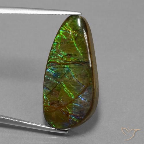 16.23ct Naturale Multicolore Ammolite, Taglio a fantasia, Opaco
