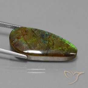 Ammolite Multicolore naturale da 16.23 ct, Taglio a fantasia, Opaco