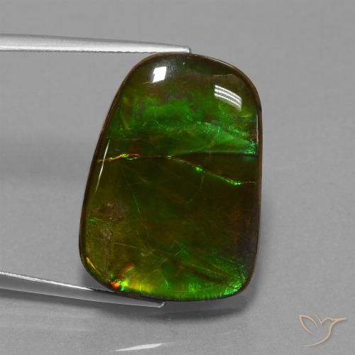 23.19ct Naturale Multicolore Ammolite, Taglio a fantasia, Opaco