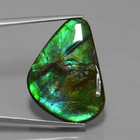 Ammolite multicolore naturale da 24,56 ct, trillion, opaco