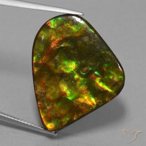 25.17ct Naturale Multicolore Ammolite, Taglio a fantasia, Opaco