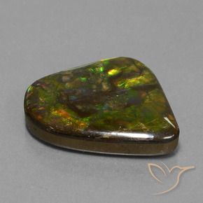 Ammolite Multicolore naturale da 25.17 ct, Taglio a fantasia, Opaco