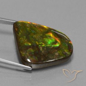 Ammolite Multicolore naturale da 25.17 ct, Taglio a fantasia, Opaco