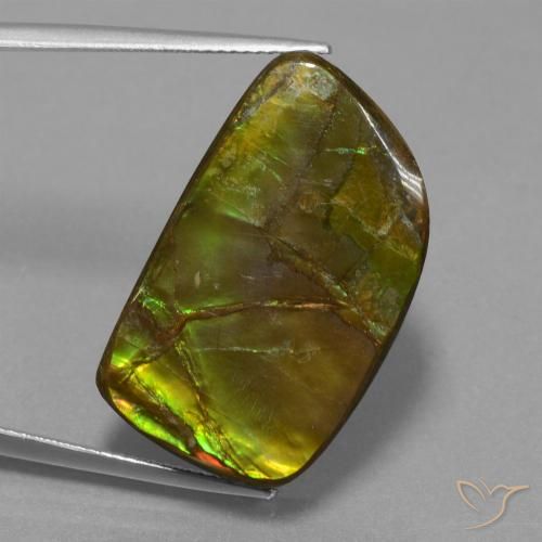 21.06ct Naturale Multicolore Ammolite, Taglio a fantasia, Opaco