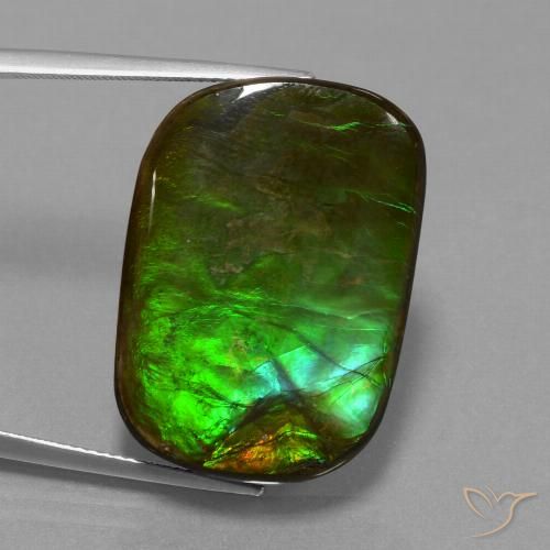 21.97ct Naturale Multicolore Ammolite, Cuscino, Opaco