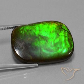 Ammolite Multicolore naturale da 21.97 ct, Cuscino, Opaco