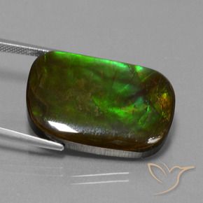 Ammolite Multicolore naturale da 21.97 ct, Cuscino, Opaco