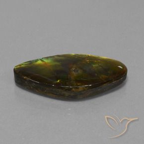 Ammolite Multicolore naturale da 19.04 ct, Taglio a fantasia, Opaco
