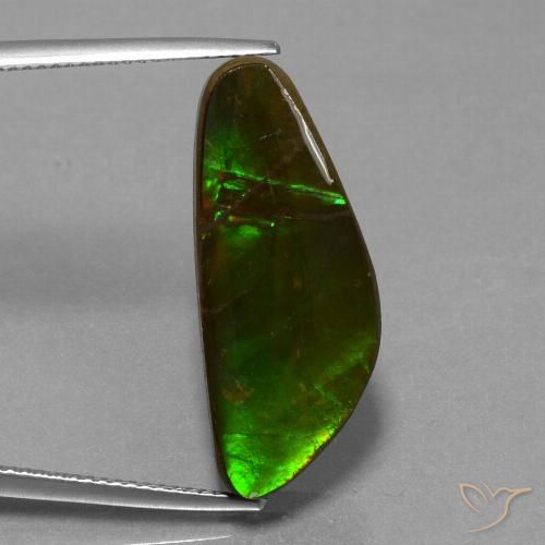 10.78ct Naturale Multicolore Ammolite, Taglio a fantasia, Opaco