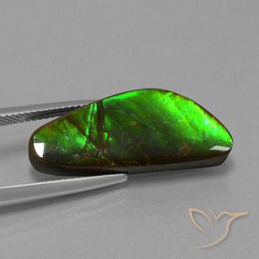 Ammolite Multicolore naturale da 10.78 ct, Taglio a fantasia, Opaco