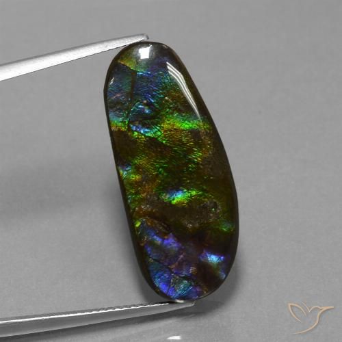 16.37ct Naturale Multicolore Ammolite, Taglio a fantasia, Opaco