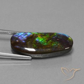 Ammolite Multicolore naturale da 16.37 ct, Taglio a fantasia, Opaco