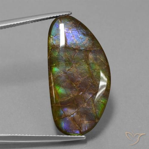 26.24ct Naturale Multicolore Ammolite, Taglio a fantasia, Opaco