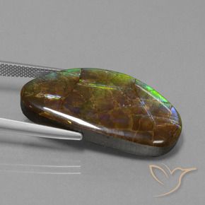 Ammolite Multicolore naturale da 26.24 ct, Taglio a fantasia, Opaco