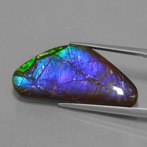 Ammolite Multicolore naturale da 18.58 ct, Forma fantasia, Opaco