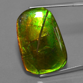 Ammolite multicolore naturale da 24,17 ct, taglio a cuscino, opaco