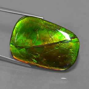 Ammolite multicolore naturale da 24,17 ct, taglio a cuscino, opaco