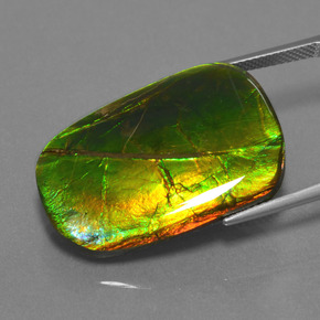 Ammolite multicolore naturale da 24,17 ct, taglio a cuscino, opaco