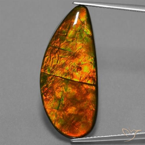 18.94ct Naturale Multicolore Ammolite, Taglio a fantasia, Opaco