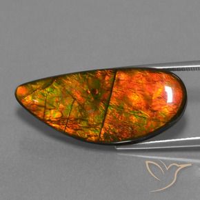 Ammolite Multicolore naturale da 18.94 ct, Taglio a fantasia, Opaco