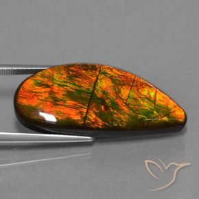 Ammolite Multicolore naturale da 18.94 ct, Taglio a fantasia, Opaco