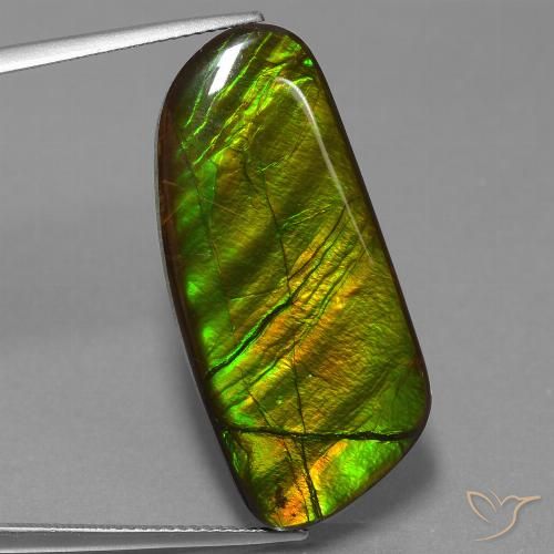 25.90ct Naturale Multicolore Ammolite, Taglio a fantasia, Opaco