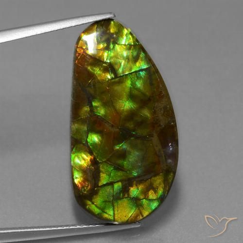 18.96ct Naturale Multicolore Ammolite, Taglio a fantasia, Opaco