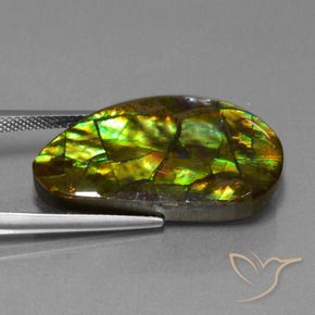Ammolite Multicolore naturale da 18.96 ct, Taglio a fantasia, Opaco