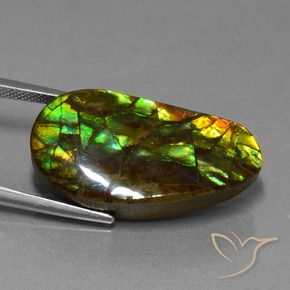 Ammolite Multicolore naturale da 18.96 ct, Taglio a fantasia, Opaco