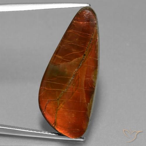 13.94ct Naturale Multicolore Ammolite, Taglio a fantasia, Opaco