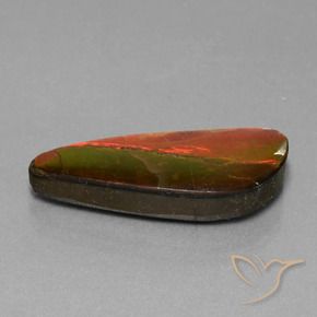Ammolite Multicolore naturale da 13.94 ct, Taglio a fantasia, Opaco