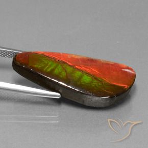 Ammolite Multicolore naturale da 13.94 ct, Taglio a fantasia, Opaco
