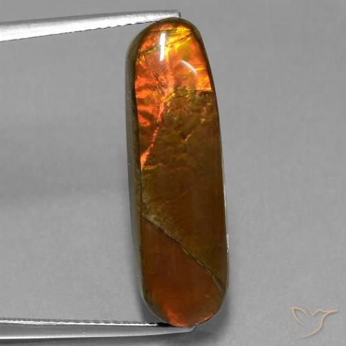 10.96ct Naturale Multicolore Ammolite, Taglio a fantasia, Opaco