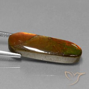 Ammolite Multicolore naturale da 10.96 ct, Taglio a fantasia, Opaco